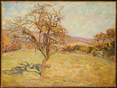 Landscape, 1890 by Jean Baptiste Armand Guillaumin