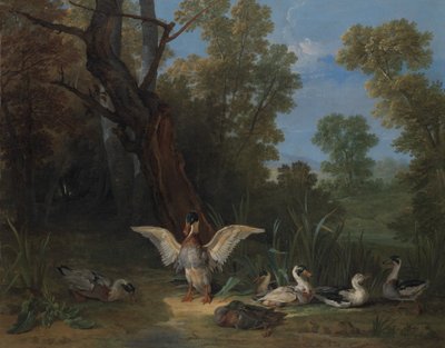 Ducks Resting in Sunshine, 1753 by Jean Baptiste Oudry