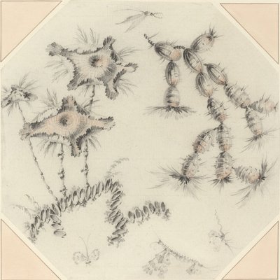 Bamboo Flowers and Cactus by Jean Baptiste Pillement