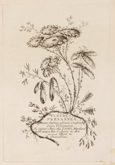 Title Page, from 