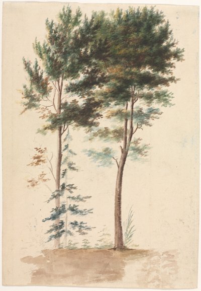 Trees by Jean Baptiste Pillement