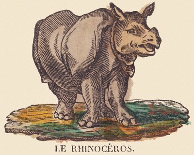 The rhinoceros, c.1840-1852 by Jean Baptiste Thiebault