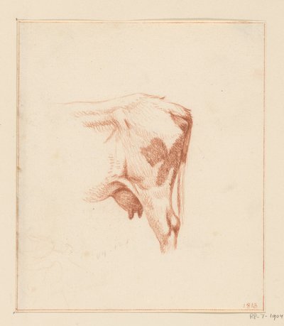 Hind Legs of a Cow by Jean Bernard