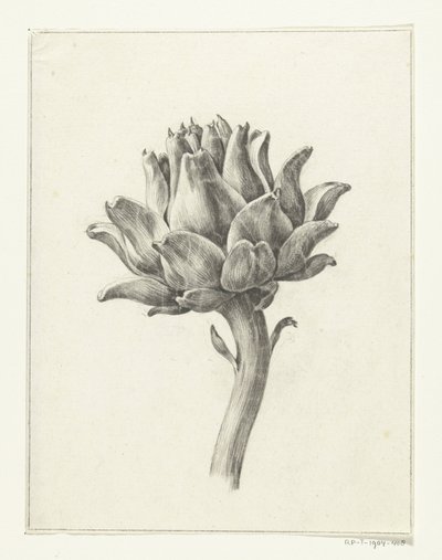 Artichoke by Jean Bernard
