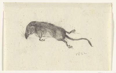 Dead Mouse by Jean Bernard