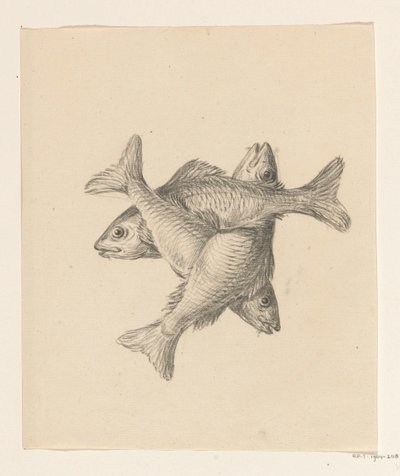 Three Crosswise Arranged Fish by Jean Bernard