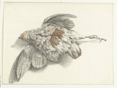 Poultry Hanging on the Wall by Jean Bernard