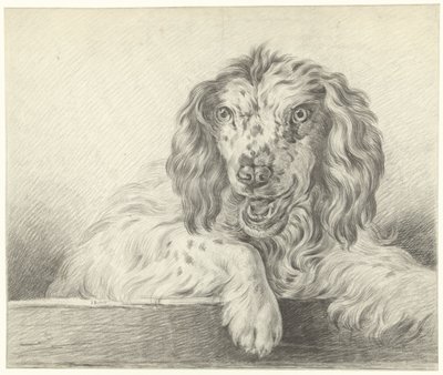 Dog by Jean Bernard