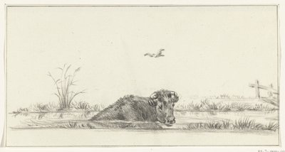 Cow in the Water by Jean Bernard