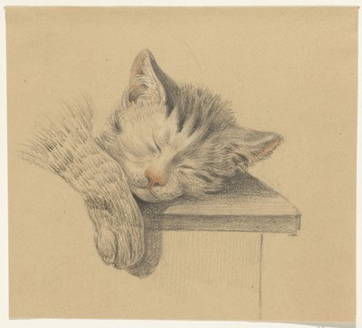 Head and Paw of a Sleeping Cat by Jean Bernard