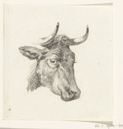 Head of a Cow by Jean Bernard