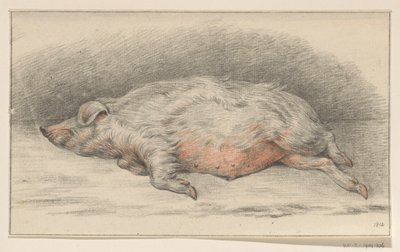 Lying Pig, Facing Left by Jean Bernard