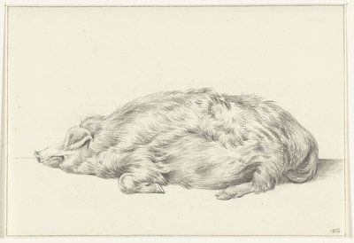 Lying Pig, Facing Left by Jean Bernard