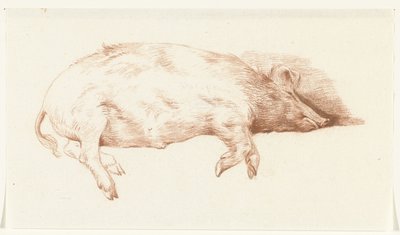 Lying Pig, Facing Right by Jean Bernard