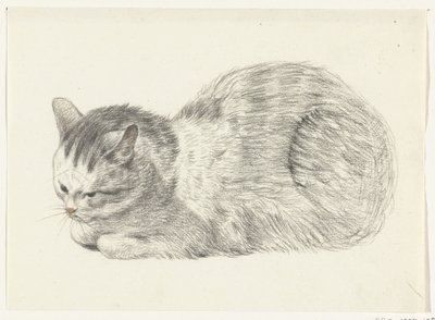 Lying Cat, Facing Left by Jean Bernard