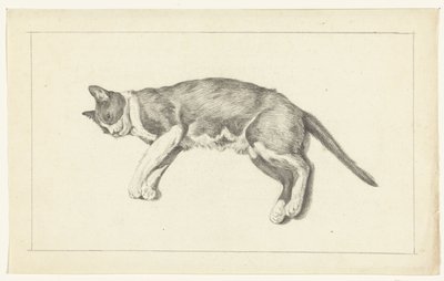 Lying Cat, Facing Left, Seen from Above by Jean Bernard