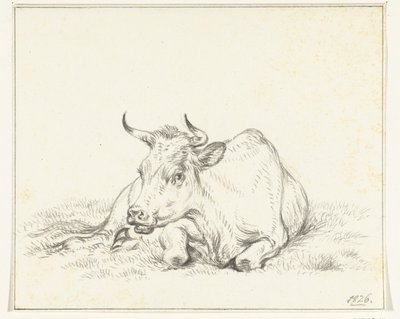 Lying cow, from the front by Jean Bernard