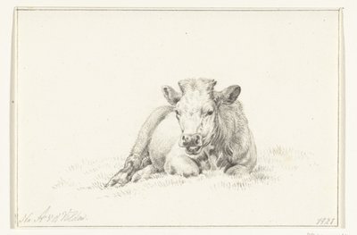 Lying Cow, Front View by Jean Bernard