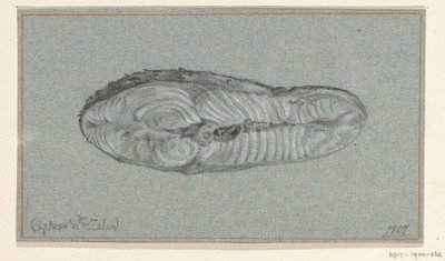Piece of Cooked Salmon by Jean Bernard