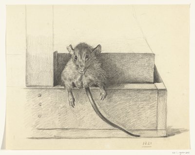 Mouse (in a Trap?) by Jean Bernard