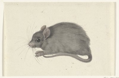Mouse, Facing Left by Jean Bernard