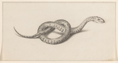 Snake by Jean Bernard