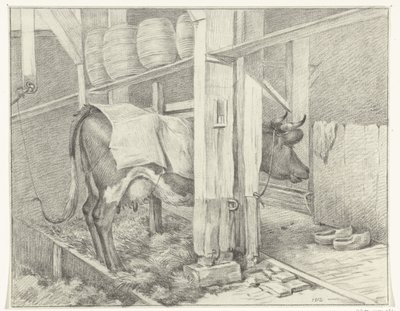 Standing Cow with a Blanket by Jean Bernard