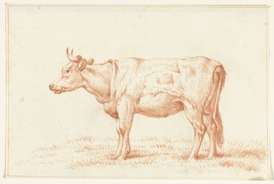 Standing Cow, Facing Left by Jean Bernard