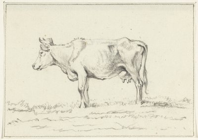 Standing Cow, Facing Left by Jean Bernard