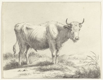 Standing Cow, Facing Right by Jean Bernard