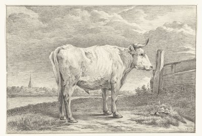 Standing Bull, Facing Right by Jean Bernard