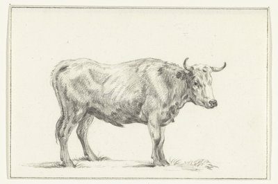 Standing Bull, Facing Right by Jean Bernard