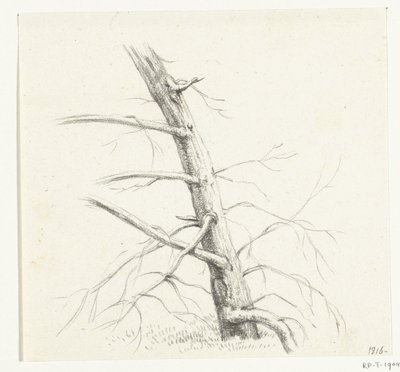 Study of a Tree by Jean Bernard
