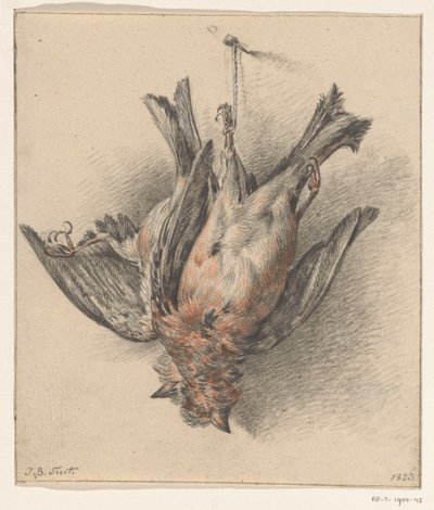 Two Dead Birds, Hung on a String by Jean Bernard