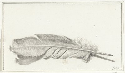 Feather by Jean Bernard