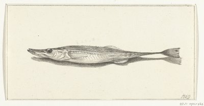 Fish by Jean Bernard