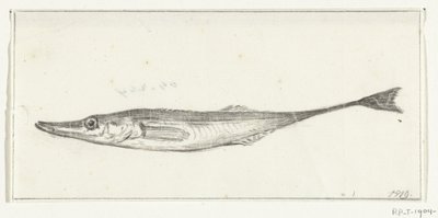 Fish by Jean Bernard