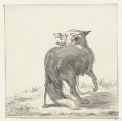 Fox by Jean Bernard