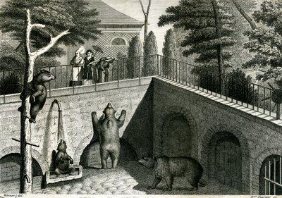 Bear den in a zoo by Jean Charles Werner