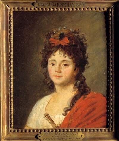 Painting by Jean Francois Garneray