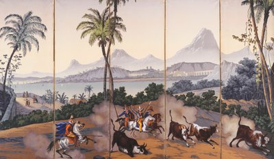 Views of Brazil by Jean Julien Deltil