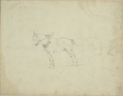 Draught Horse by Jean Louis André Théodore Géricault
