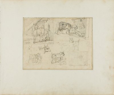 Sketches of Goats by Jean Louis André Théodore Géricault