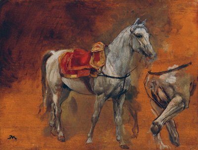 Studies of a White Horse by Jean Louis Ernest Meissonier