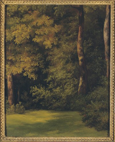 A Woodland Clearing by Jean Michel Cels