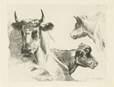 Three Cow Heads by Jean Zacherie Mazel