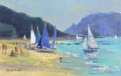 Salcombe Sailing Boats by Jennifer Wright