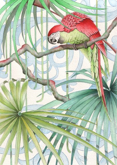 Parrot by Jenny Barnard