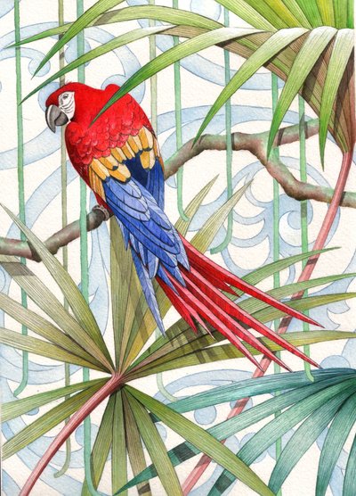 Parrot by Jenny Barnard
