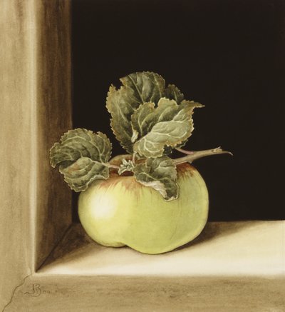 Apple by Jenny Barron